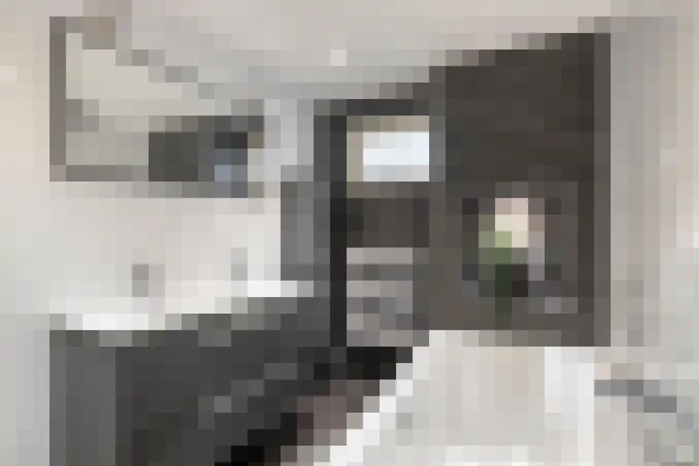 Hoevelakenseweg 130 Terschuur thumbnail 22