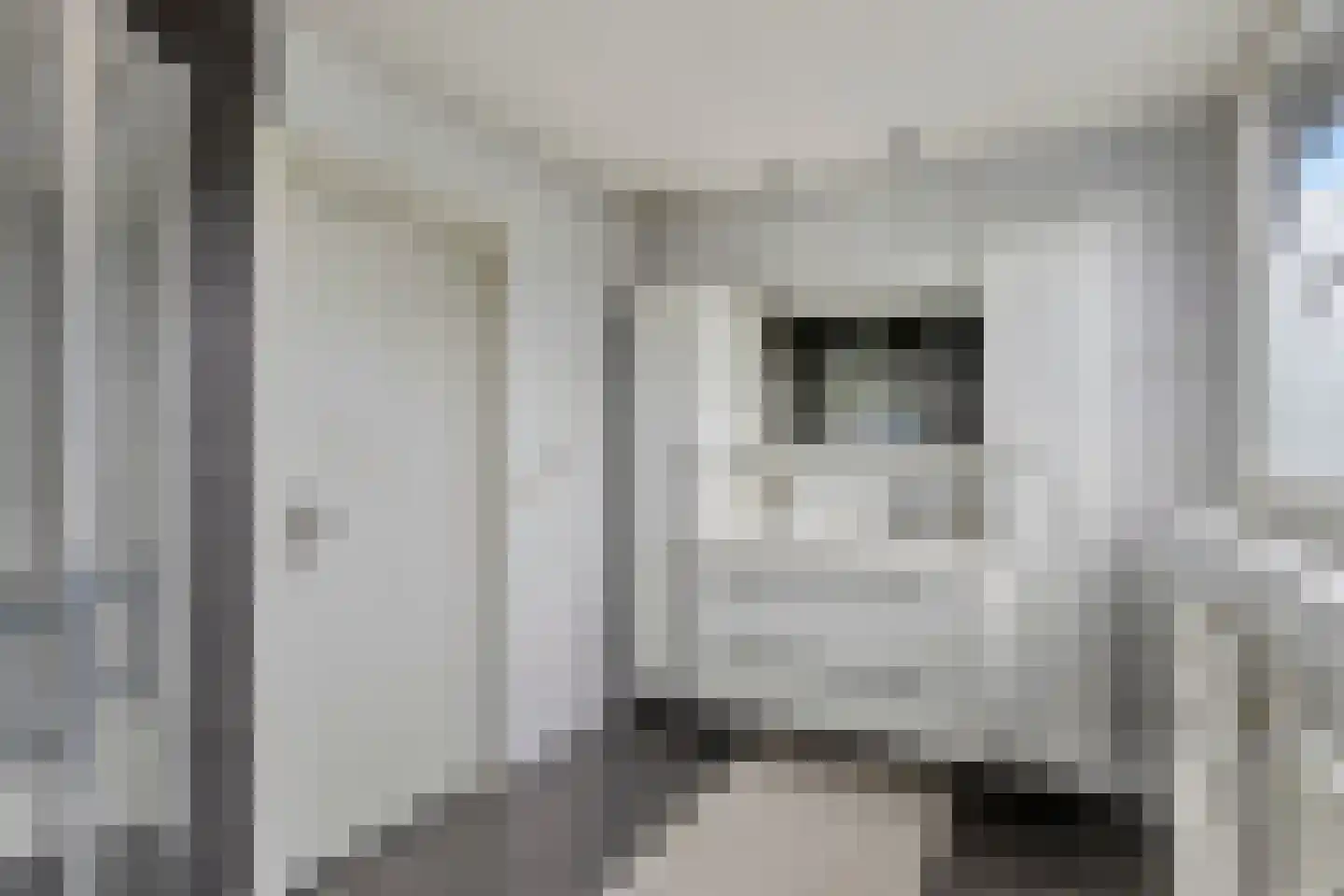 Hoevelakenseweg 130 Terschuur thumbnail 32