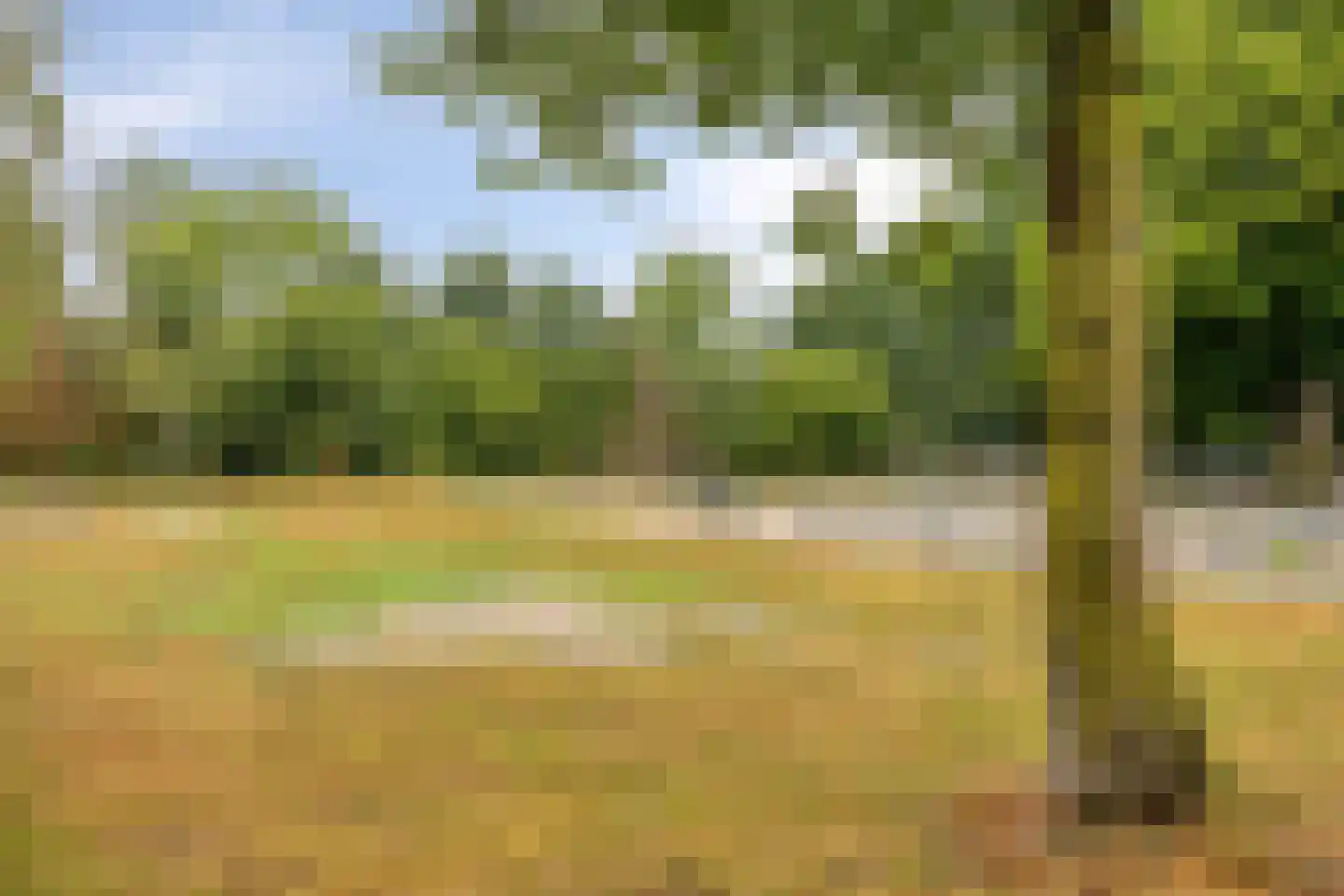 Hoevelakenseweg 130 Terschuur thumbnail 45