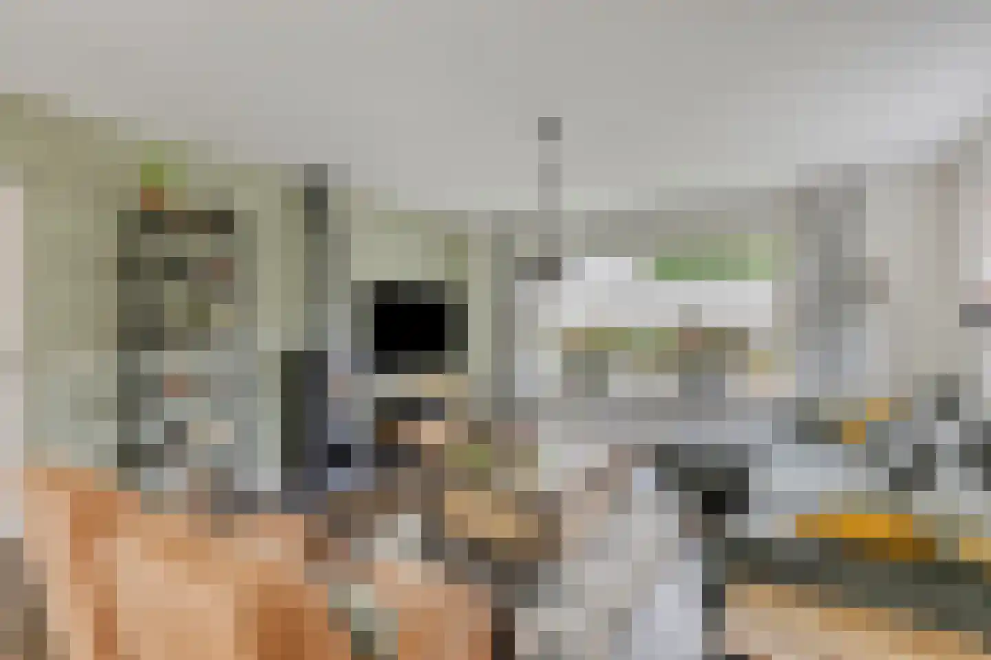 Hoevelakenseweg 130 Terschuur thumbnail 9