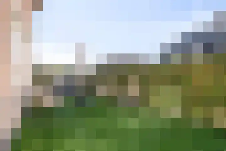 Hoevelakenseweg 136 Terschuur thumbnail 27
