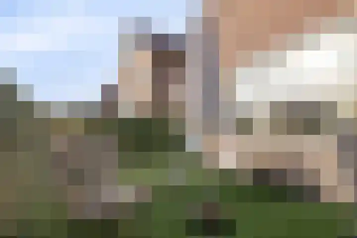 Hoevelakenseweg 136 Terschuur thumbnail 29