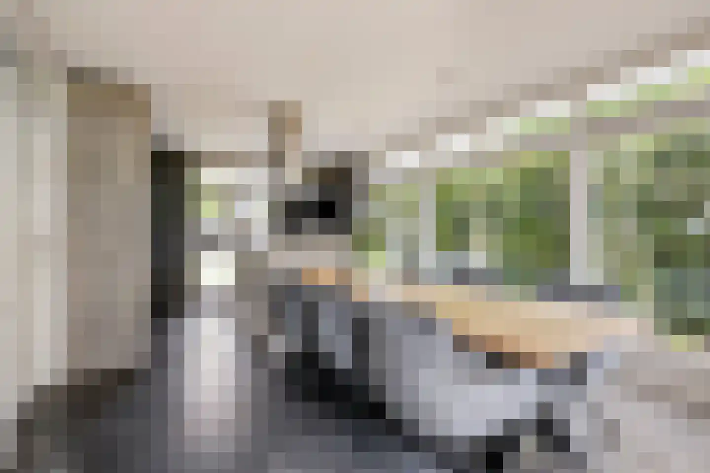 Hoevelakenseweg 190 Terschuur thumbnail 11