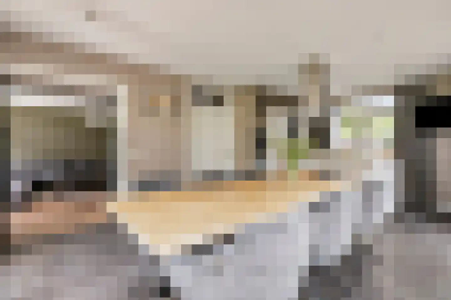 Hoevelakenseweg 190 Terschuur thumbnail 12