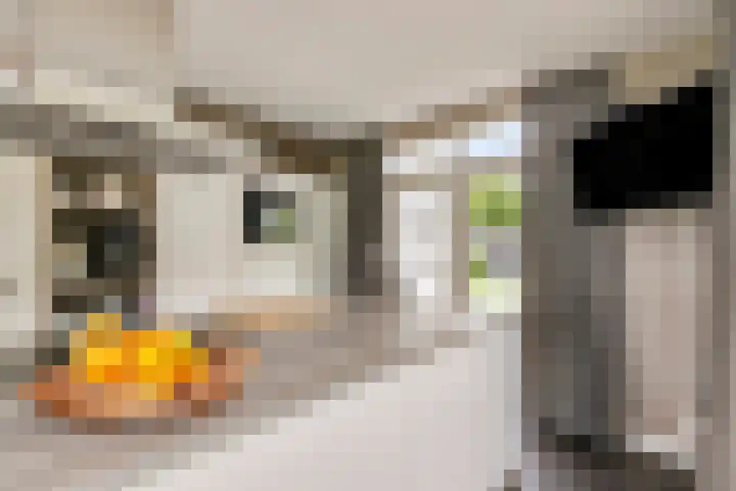Hoevelakenseweg 190 Terschuur thumbnail 13