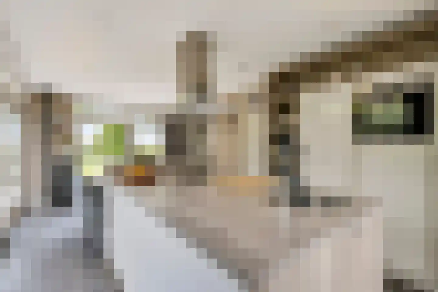 Hoevelakenseweg 190 Terschuur thumbnail 14