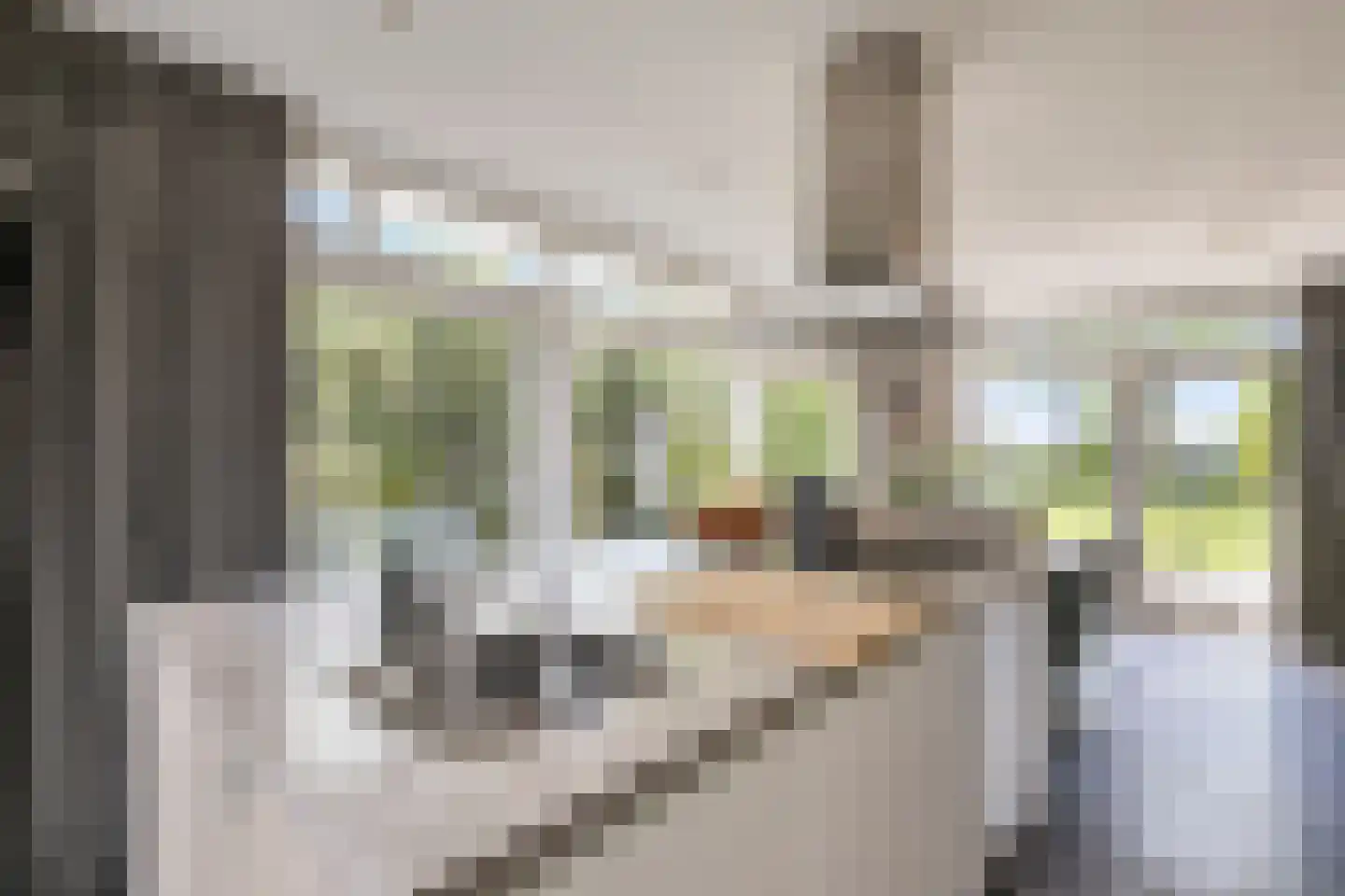 Hoevelakenseweg 190 Terschuur thumbnail 15