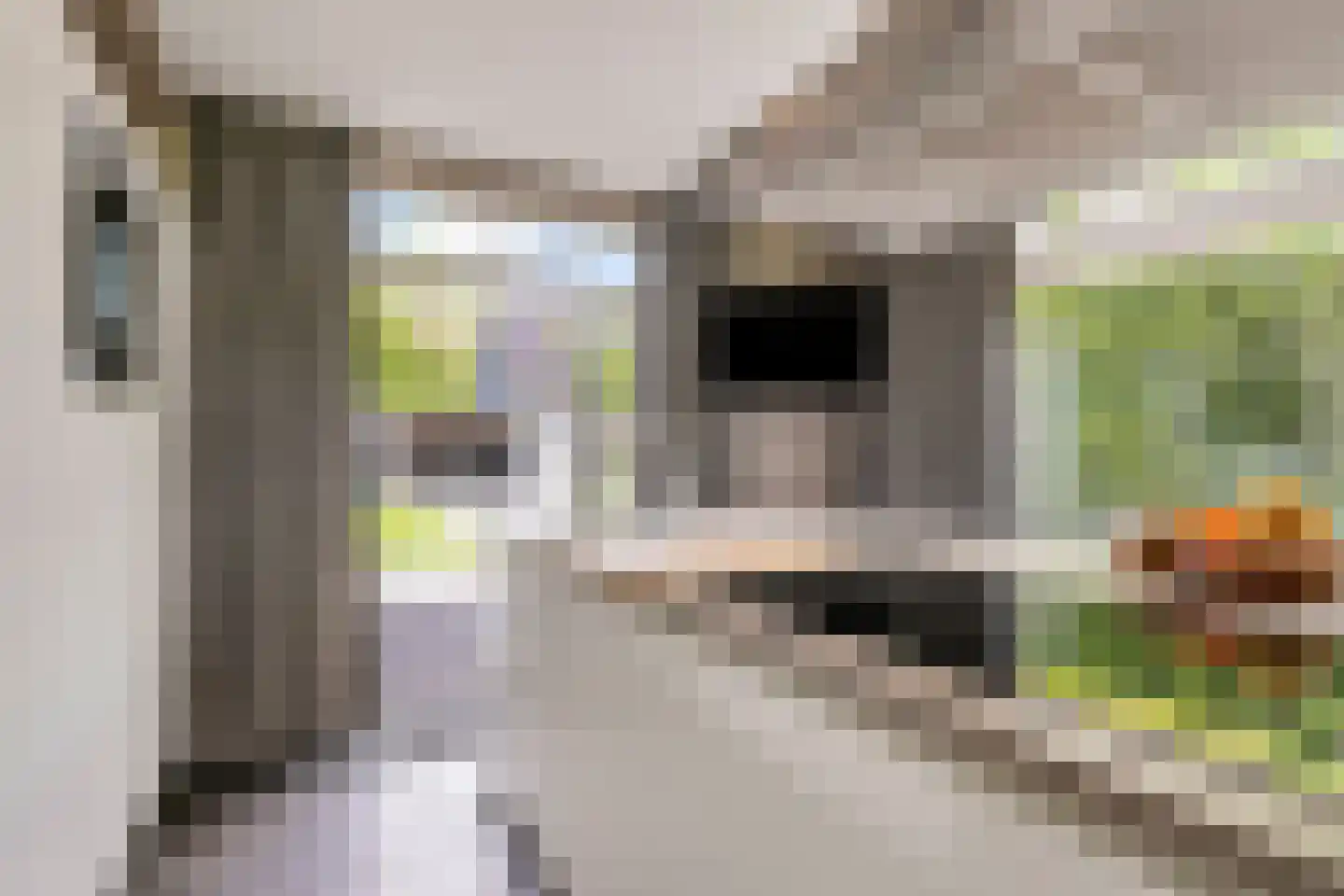Hoevelakenseweg 190 Terschuur thumbnail 16