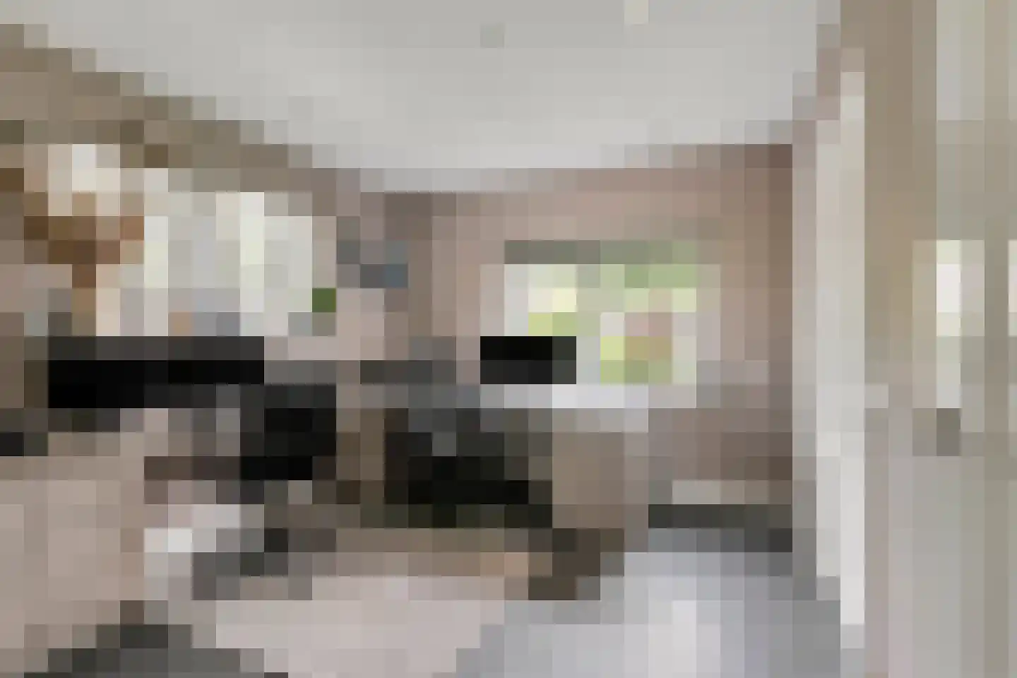Hoevelakenseweg 190 Terschuur thumbnail 17