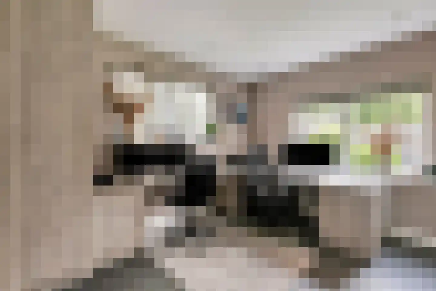 Hoevelakenseweg 190 Terschuur thumbnail 18