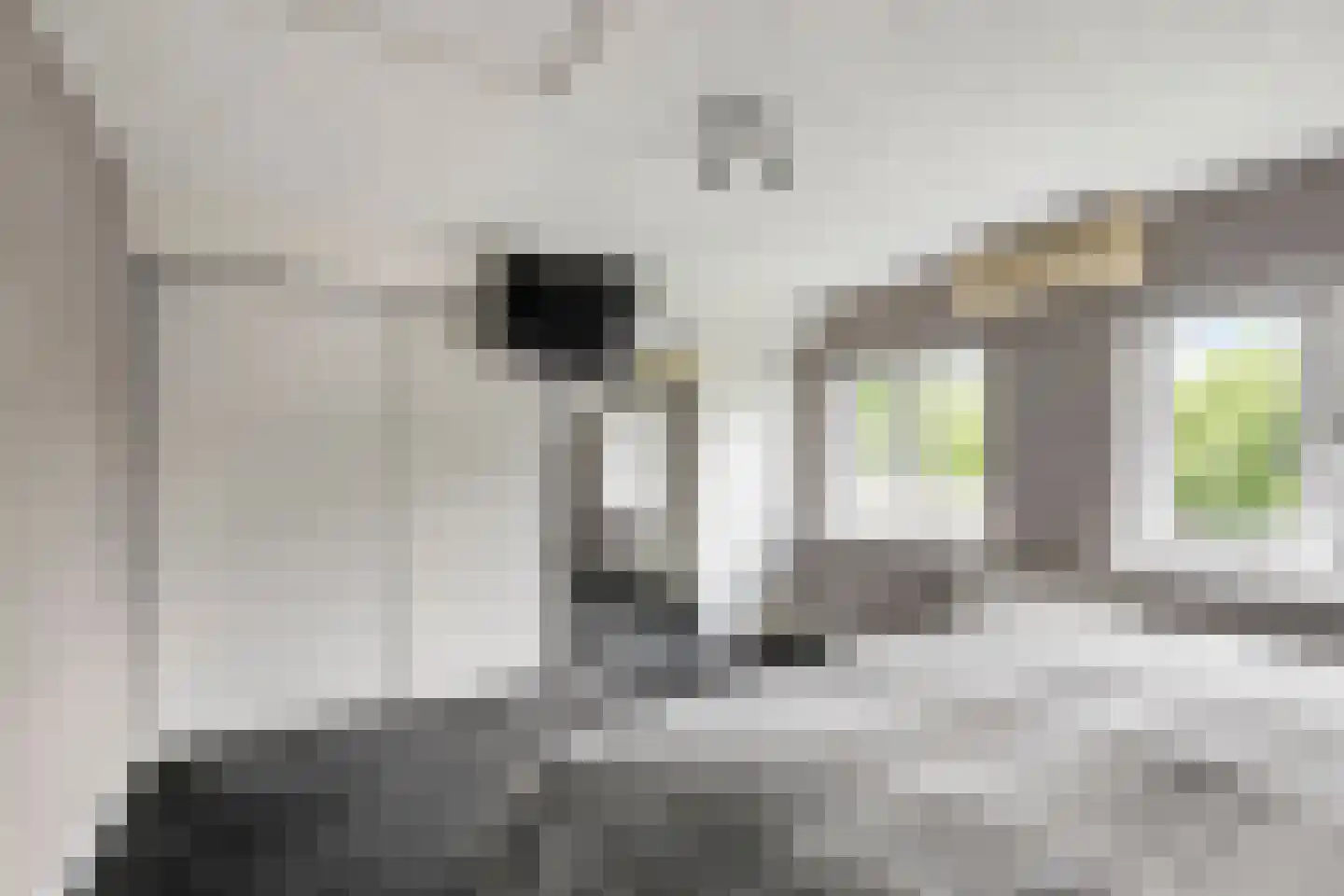 Hoevelakenseweg 190 Terschuur thumbnail 29