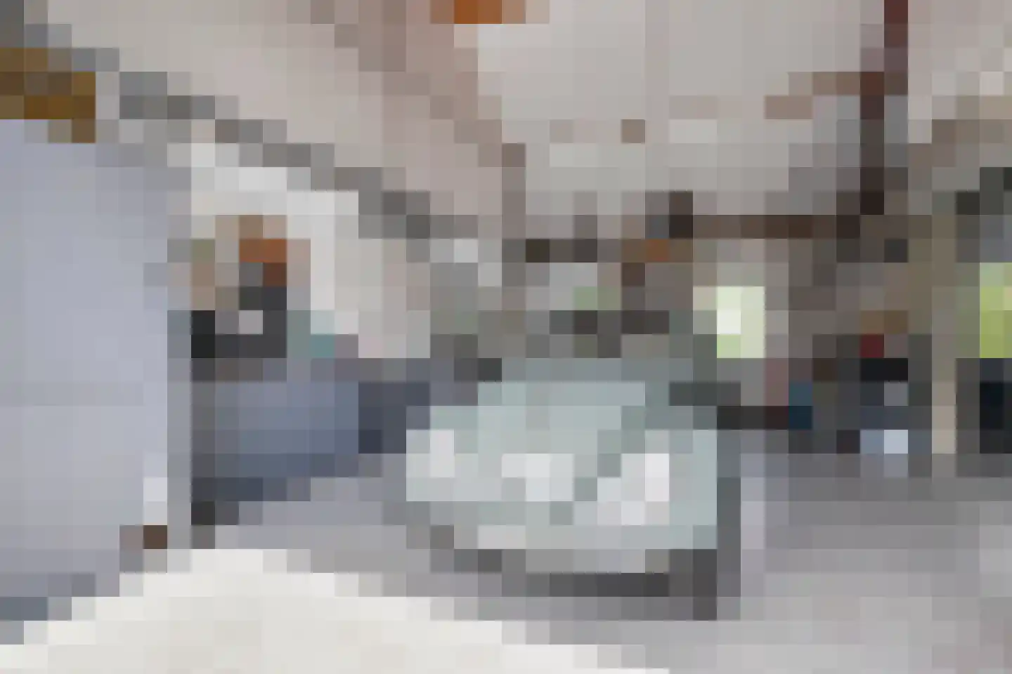 Hoevelakenseweg 190 Terschuur thumbnail 42