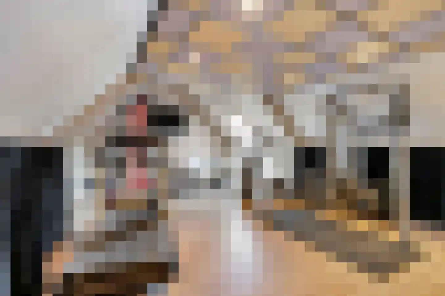 Hoevelakenseweg 190 Terschuur thumbnail 45