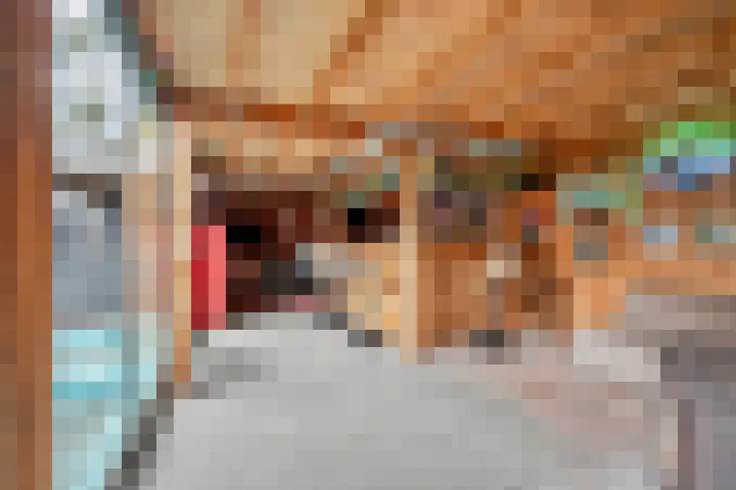 Hoevelakenseweg 190 Terschuur thumbnail 48