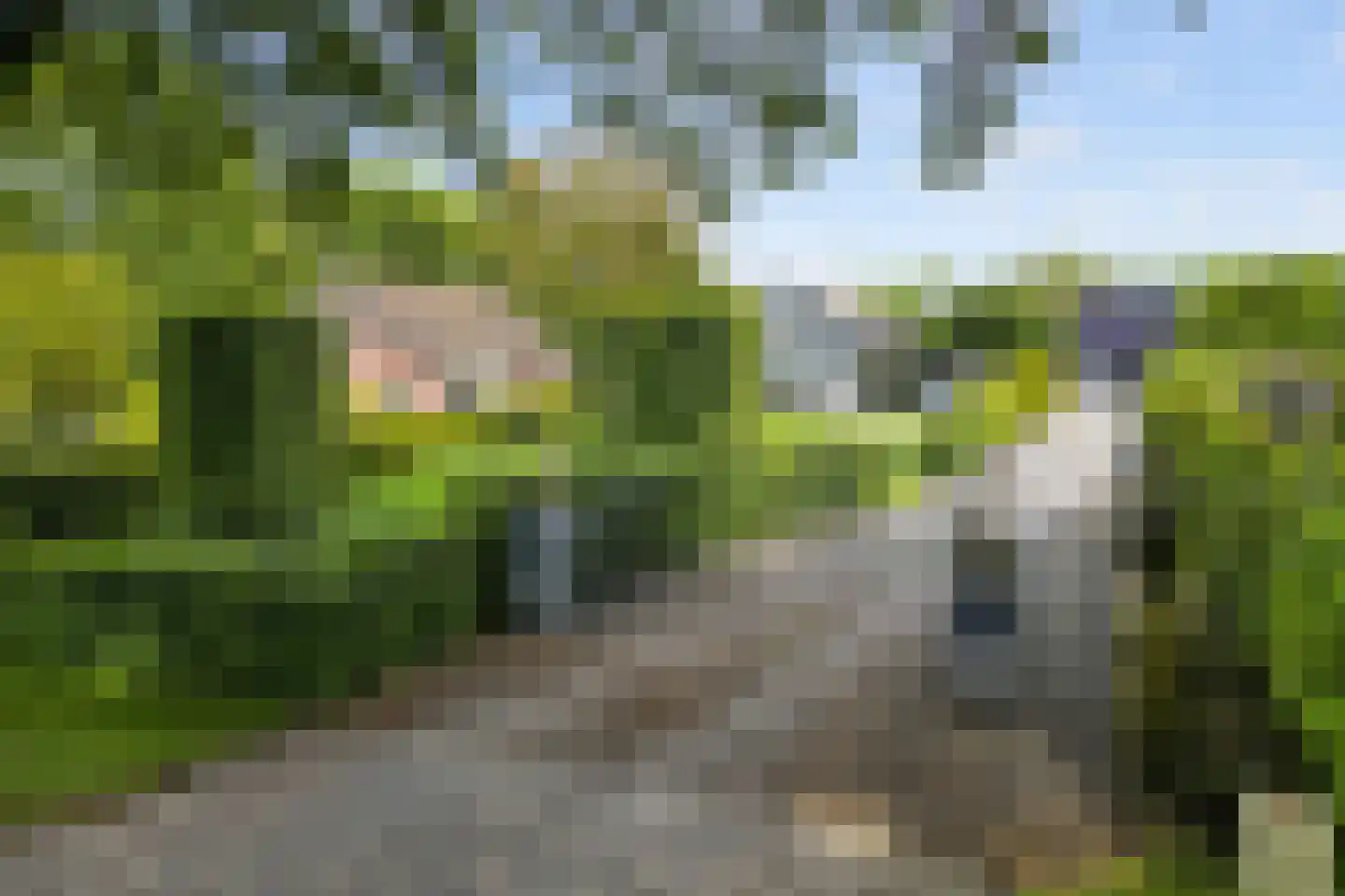 Hoevelakenseweg 190 Terschuur thumbnail 54