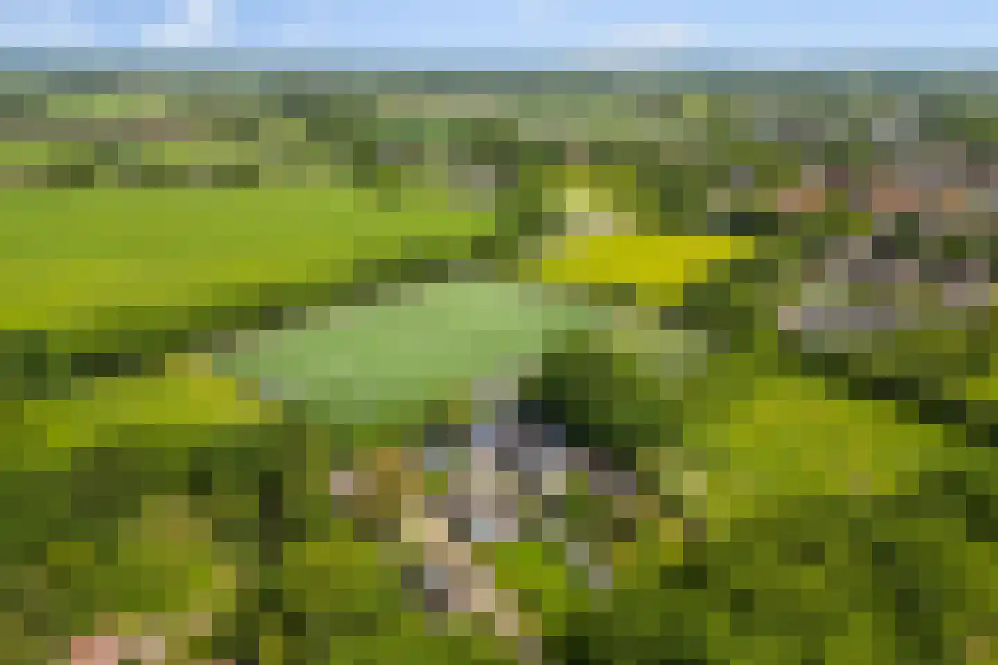 Hoevelakenseweg 190 Terschuur thumbnail 56