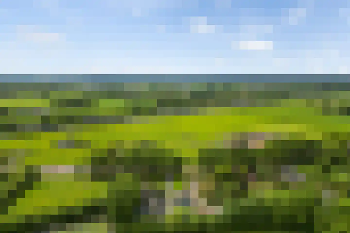 Hoevelakenseweg 190 Terschuur thumbnail 57