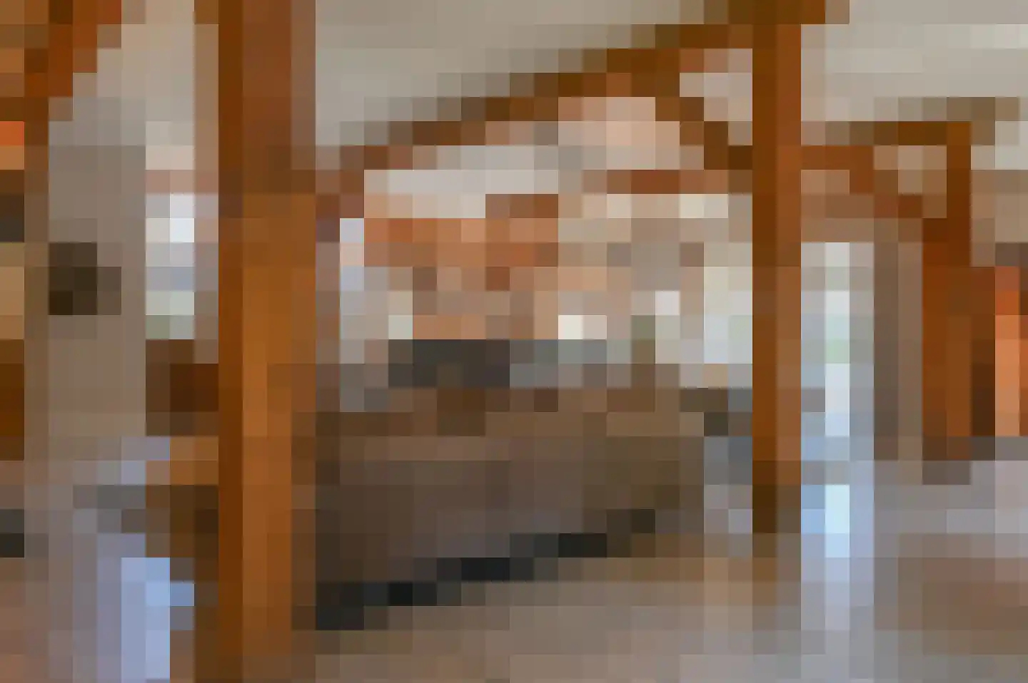 Hoevelakenseweg 89 Terschuur thumbnail 10