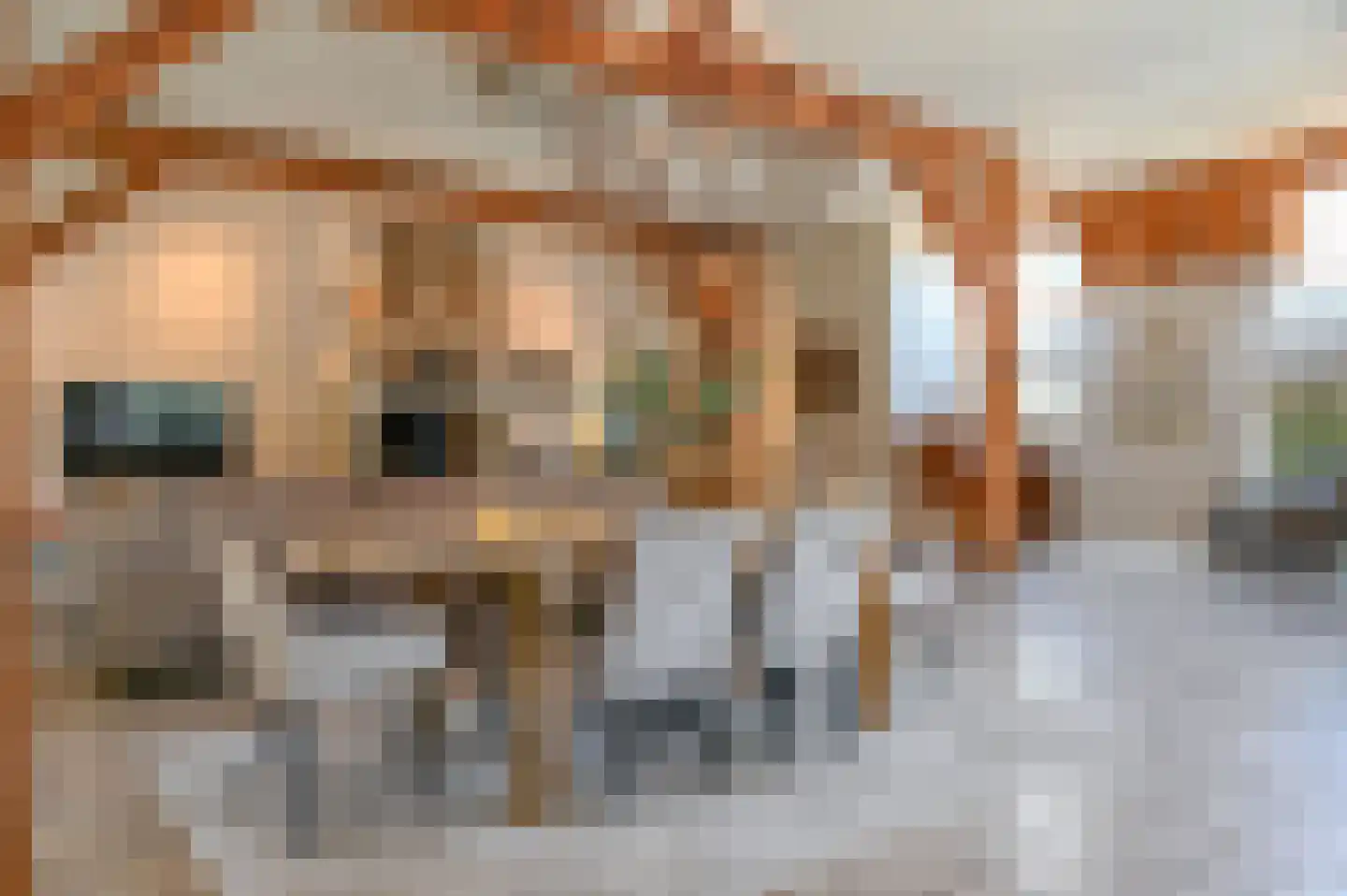 Hoevelakenseweg 89 Terschuur thumbnail 11