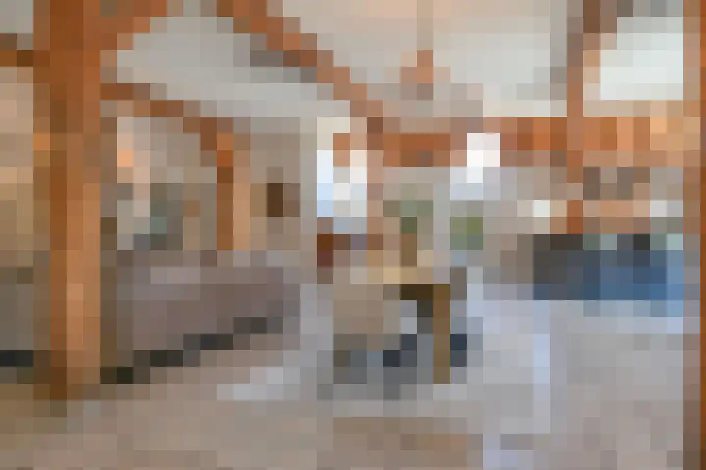 Hoevelakenseweg 89 Terschuur thumbnail 12