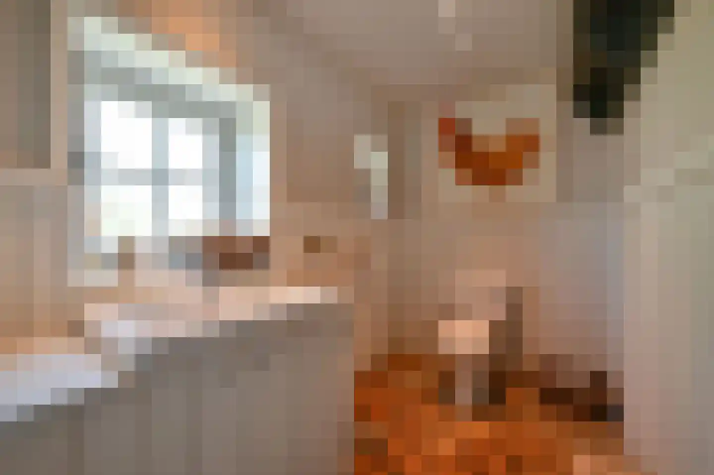 Hoevelakenseweg 89 Terschuur thumbnail 16