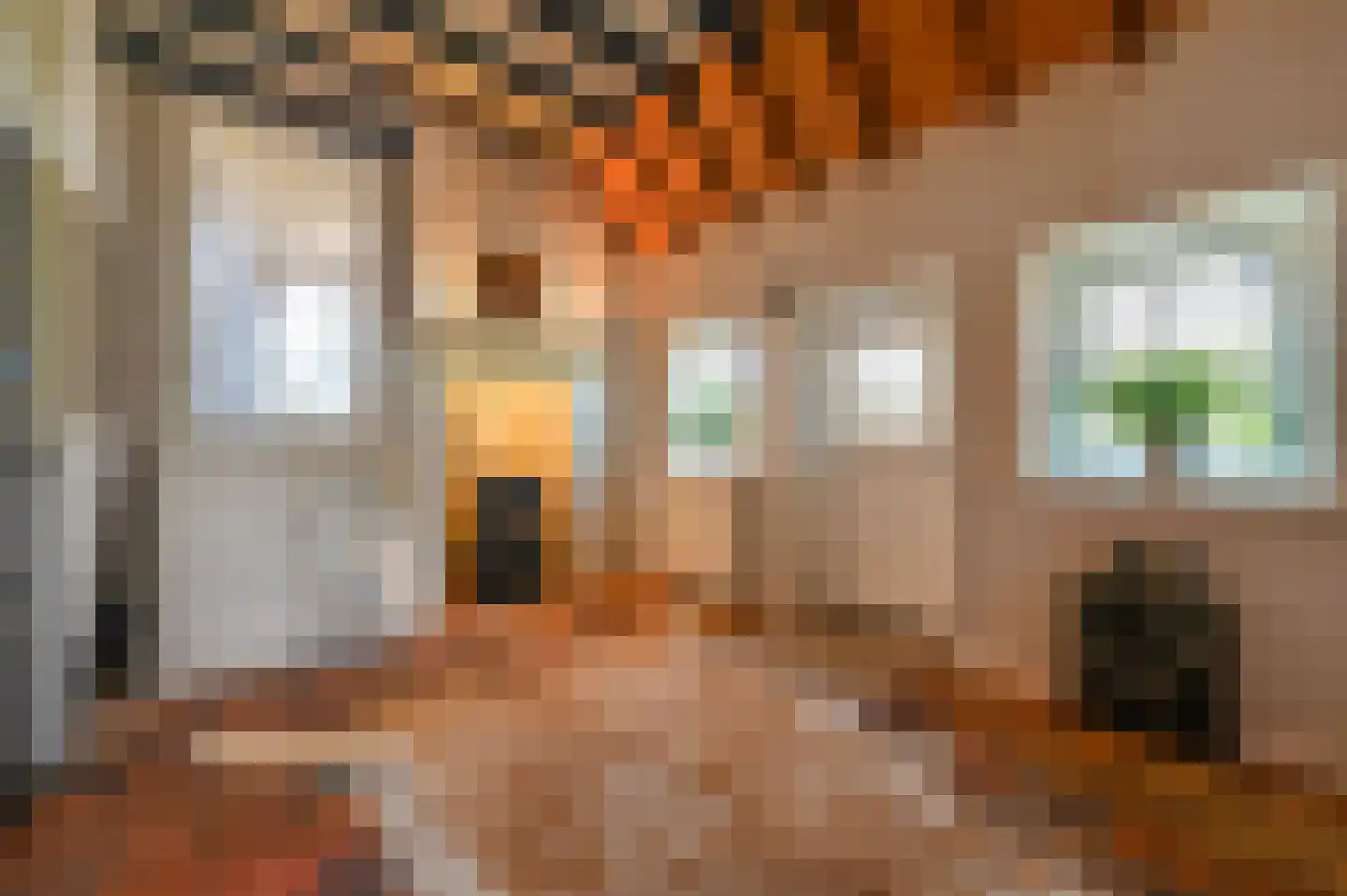 Hoevelakenseweg 89 Terschuur thumbnail 16
