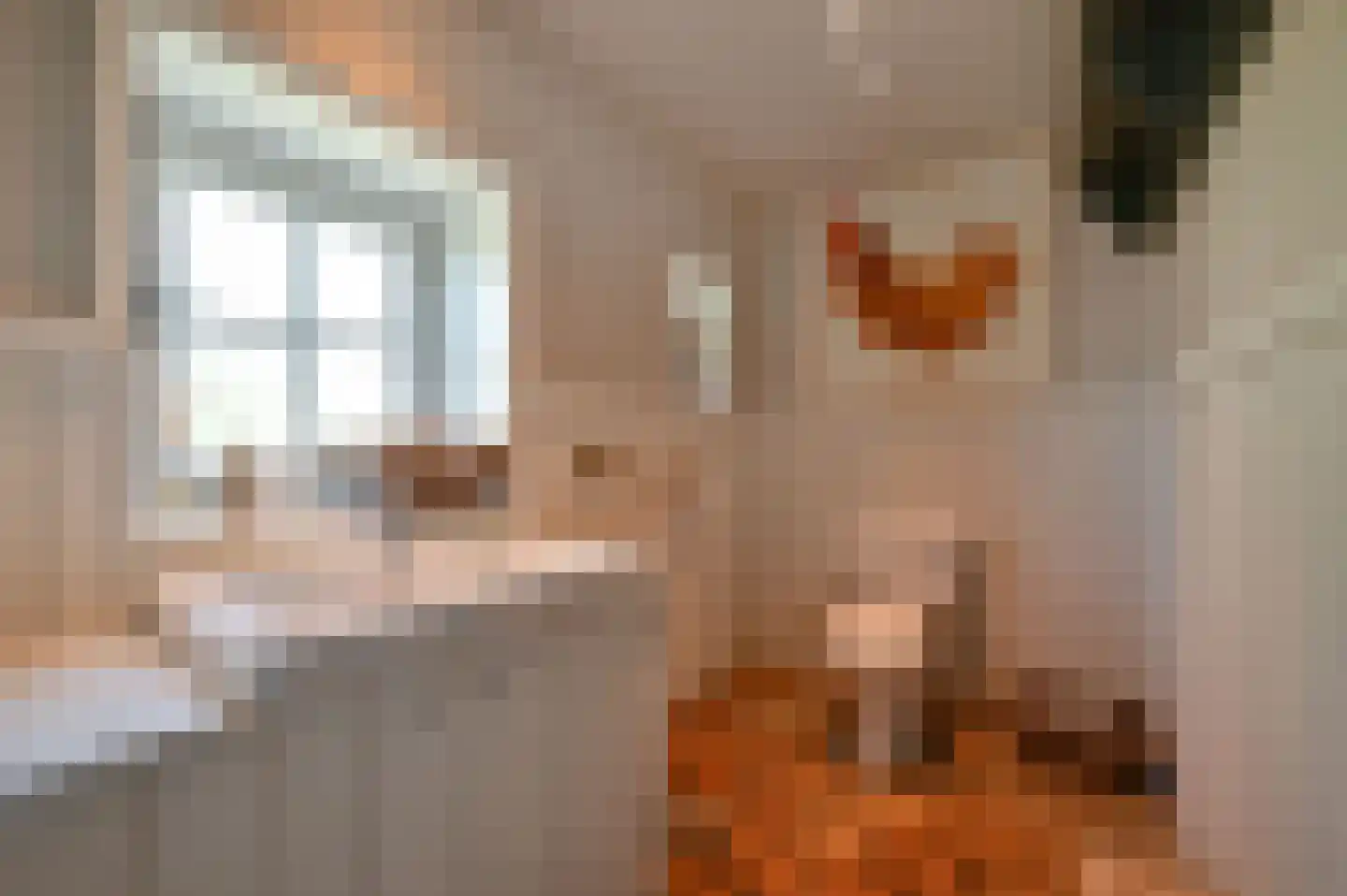 Hoevelakenseweg 89 Terschuur thumbnail 17