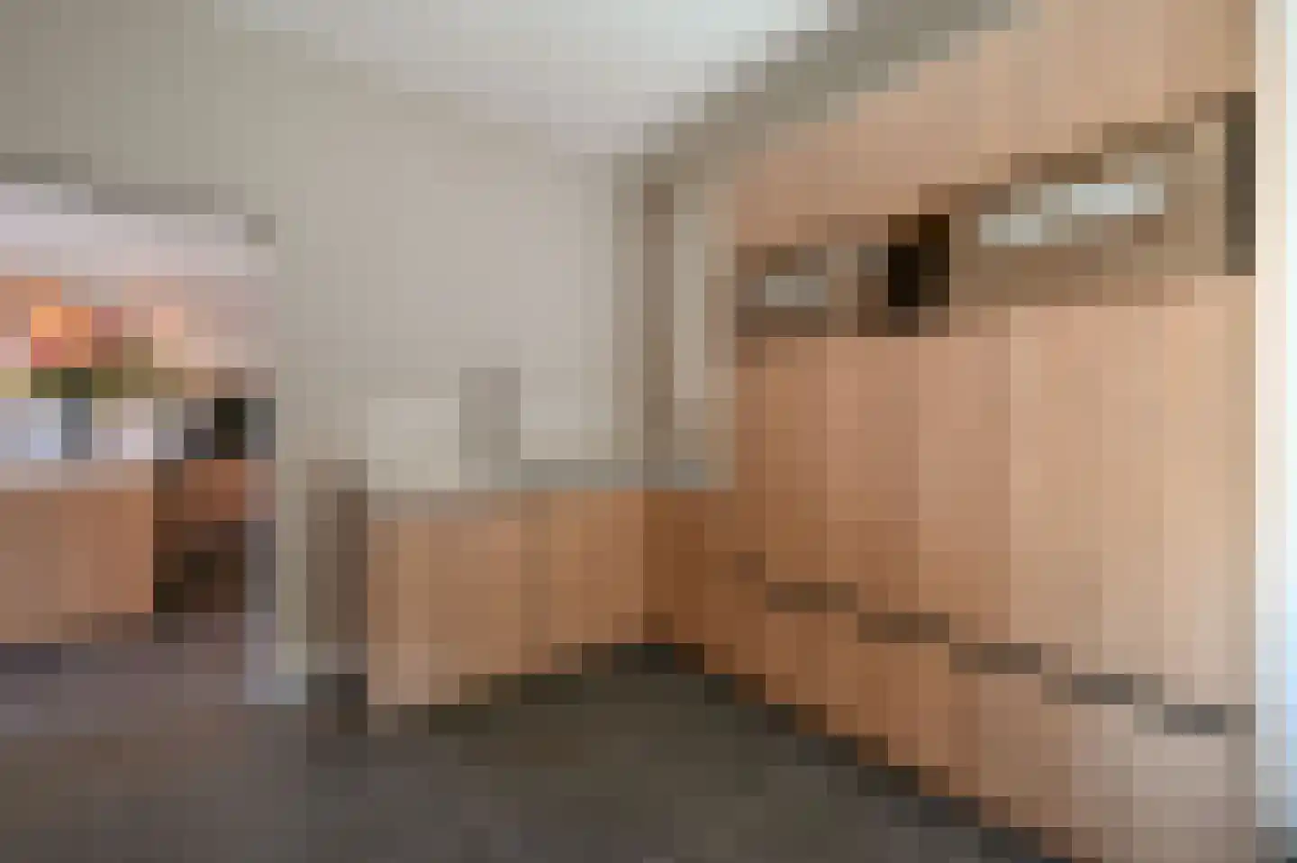 Hoevelakenseweg 89 Terschuur thumbnail 22