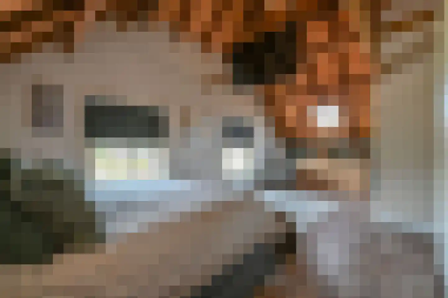 Hoevelakenseweg 89 Terschuur thumbnail 25