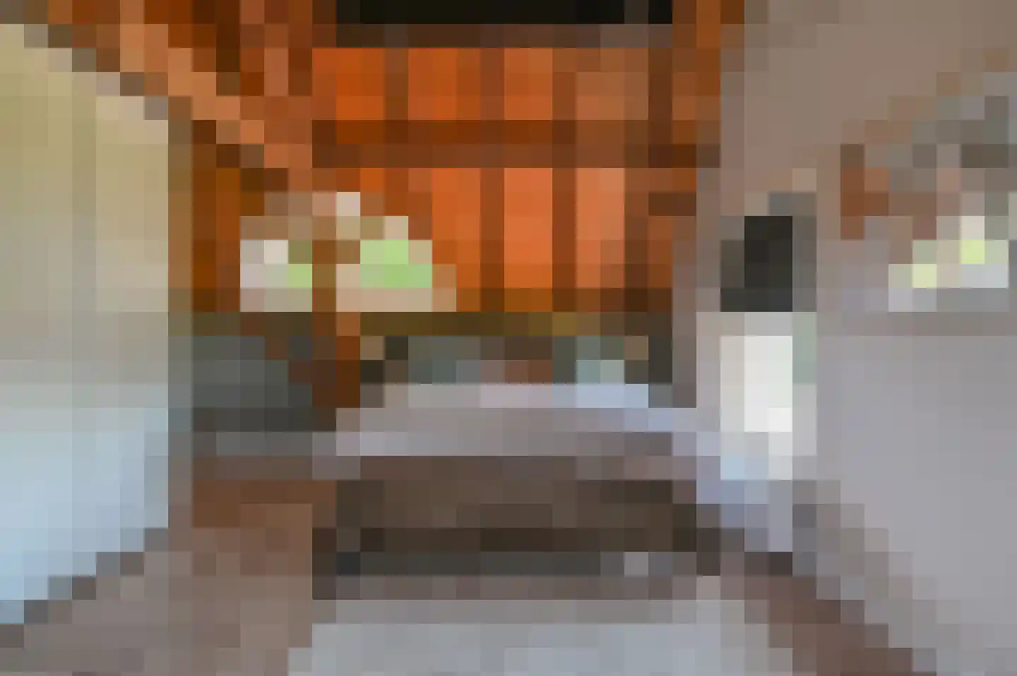 Hoevelakenseweg 89 Terschuur thumbnail 26