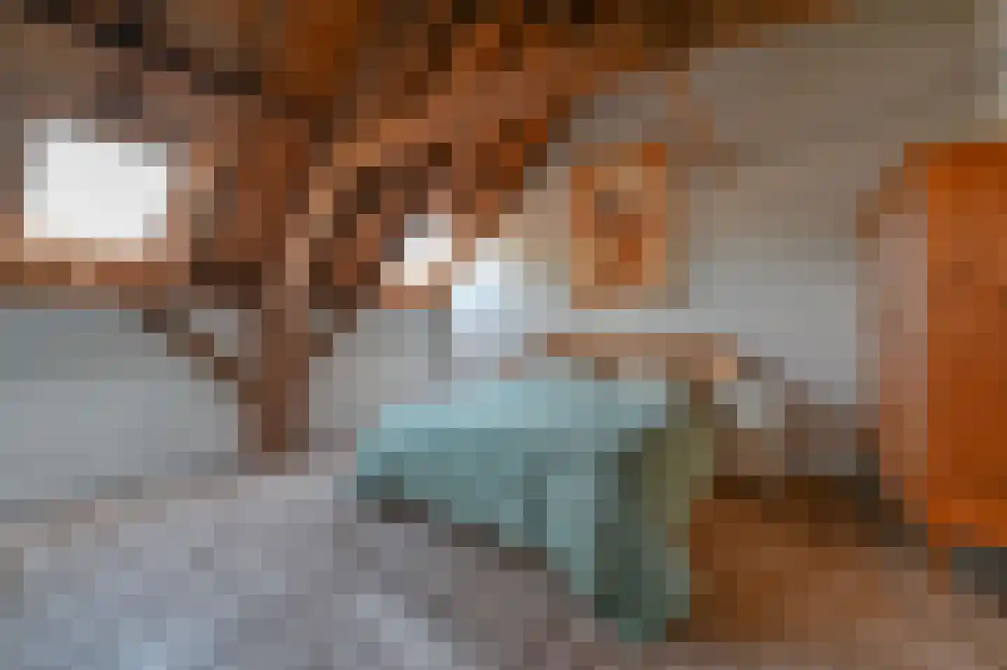 Hoevelakenseweg 89 Terschuur thumbnail 28