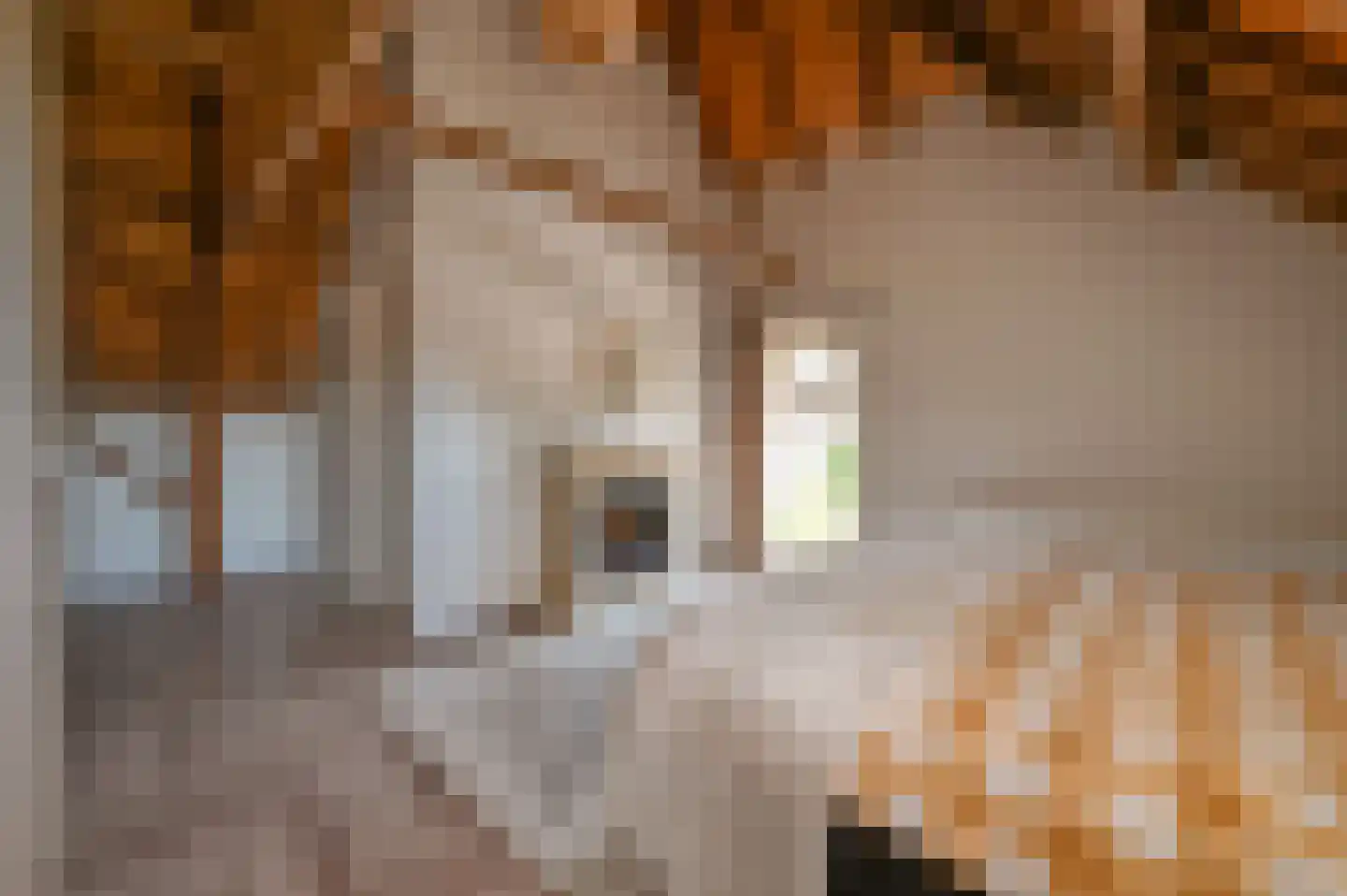 Hoevelakenseweg 89 Terschuur thumbnail 29