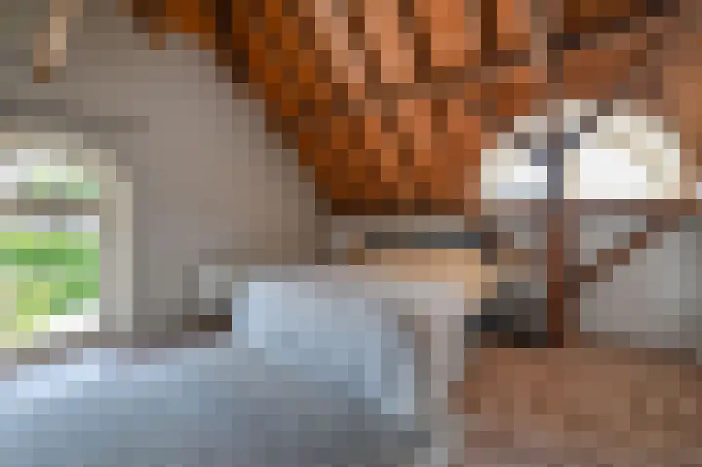 Hoevelakenseweg 89 Terschuur thumbnail 30