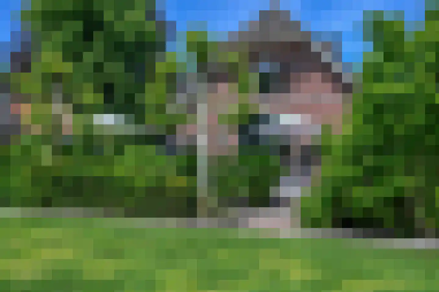 Hoevelakenseweg 89 Terschuur thumbnail 34