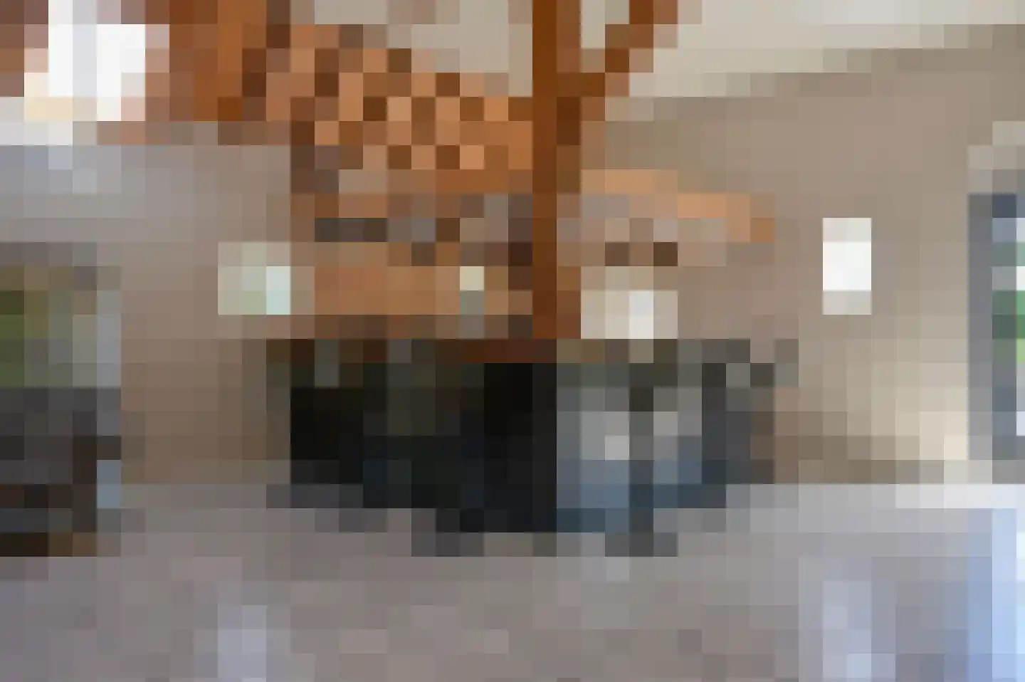 Hoevelakenseweg 89 Terschuur thumbnail 5