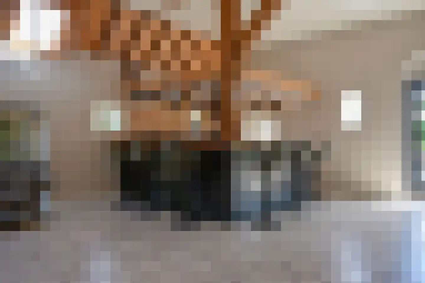 Hoevelakenseweg 89 Terschuur thumbnail 6