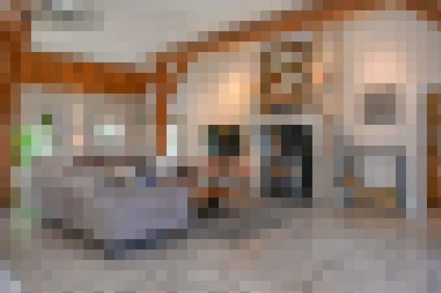 Hoevelakenseweg 89 Terschuur thumbnail 8