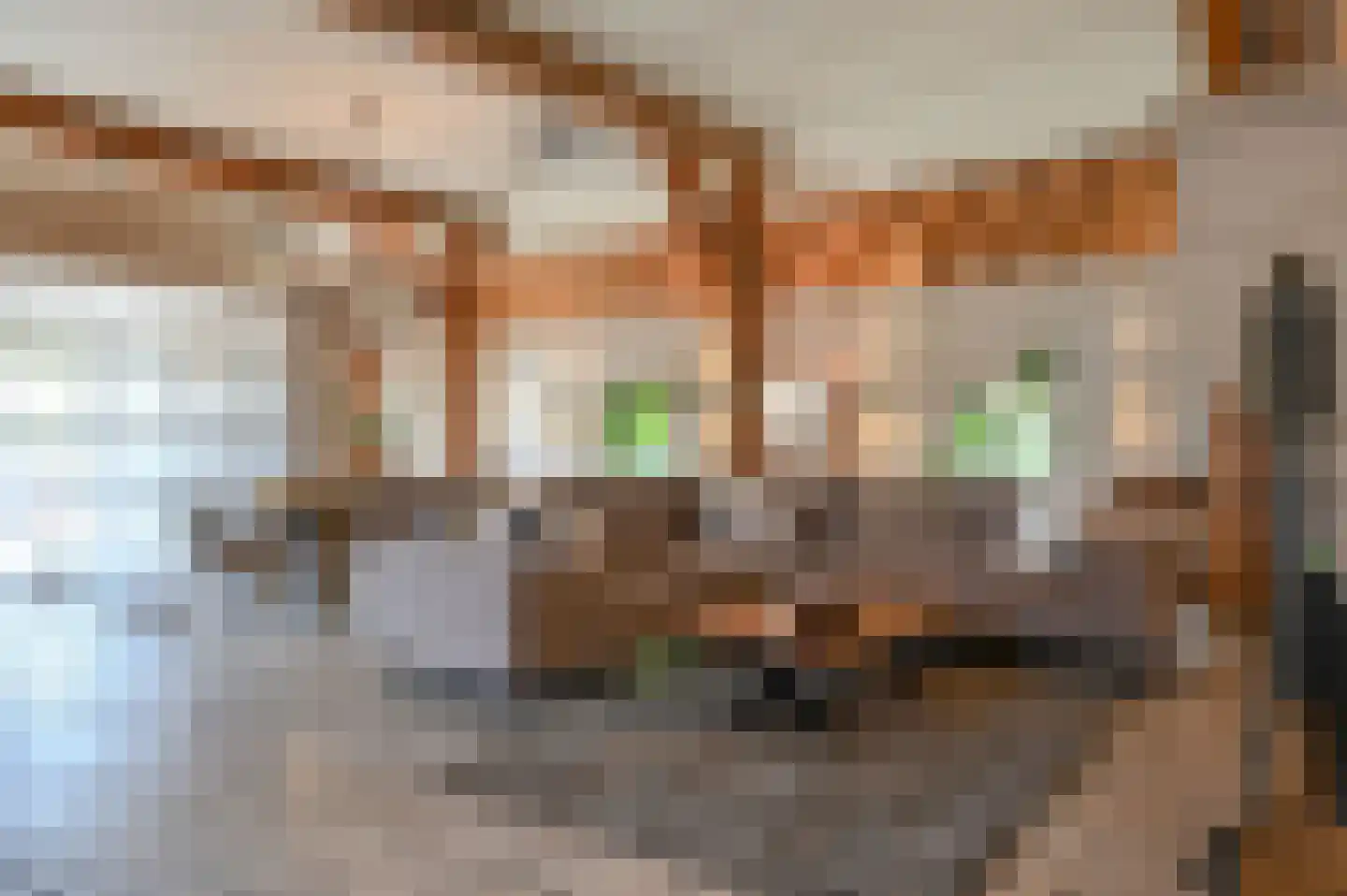 Hoevelakenseweg 89 Terschuur thumbnail 9