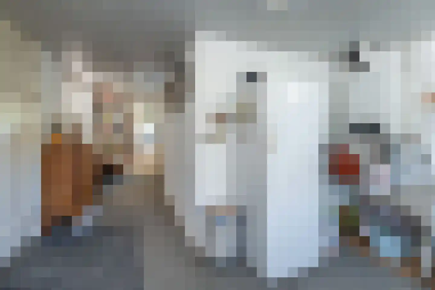 Hoevelakenseweg 95 Terschuur thumbnail 15