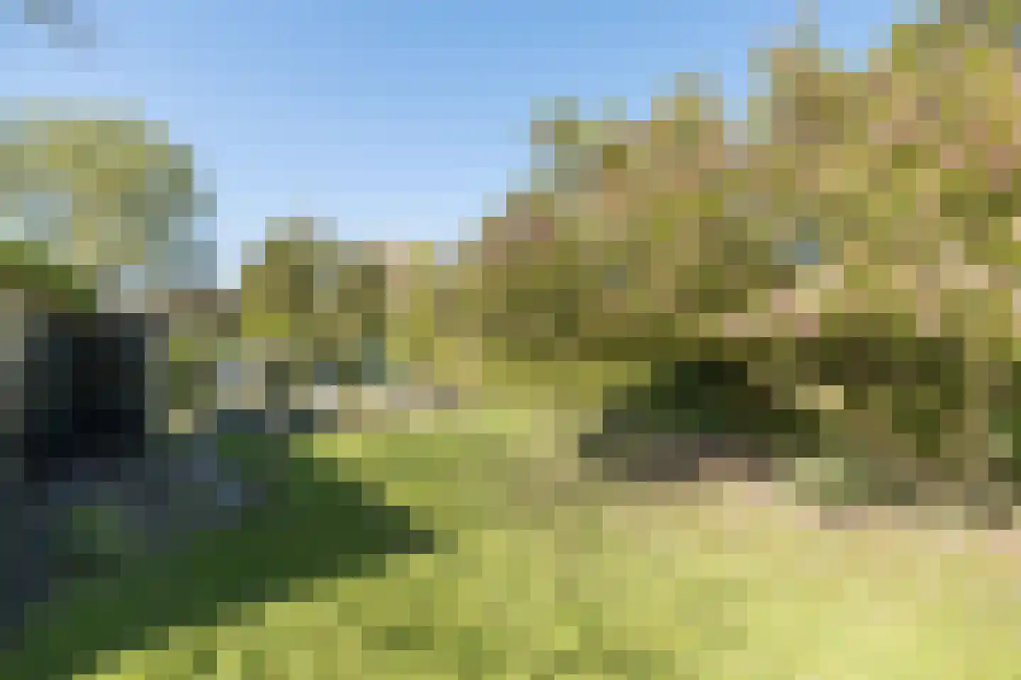 Hoevelakenseweg 95 Terschuur thumbnail 43