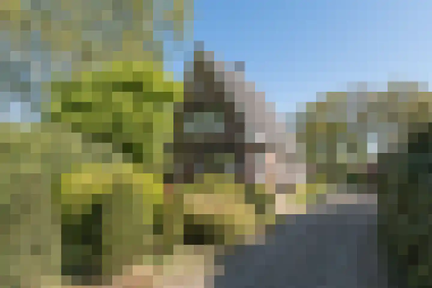 Hoevelakenseweg 95 Terschuur thumbnail 53