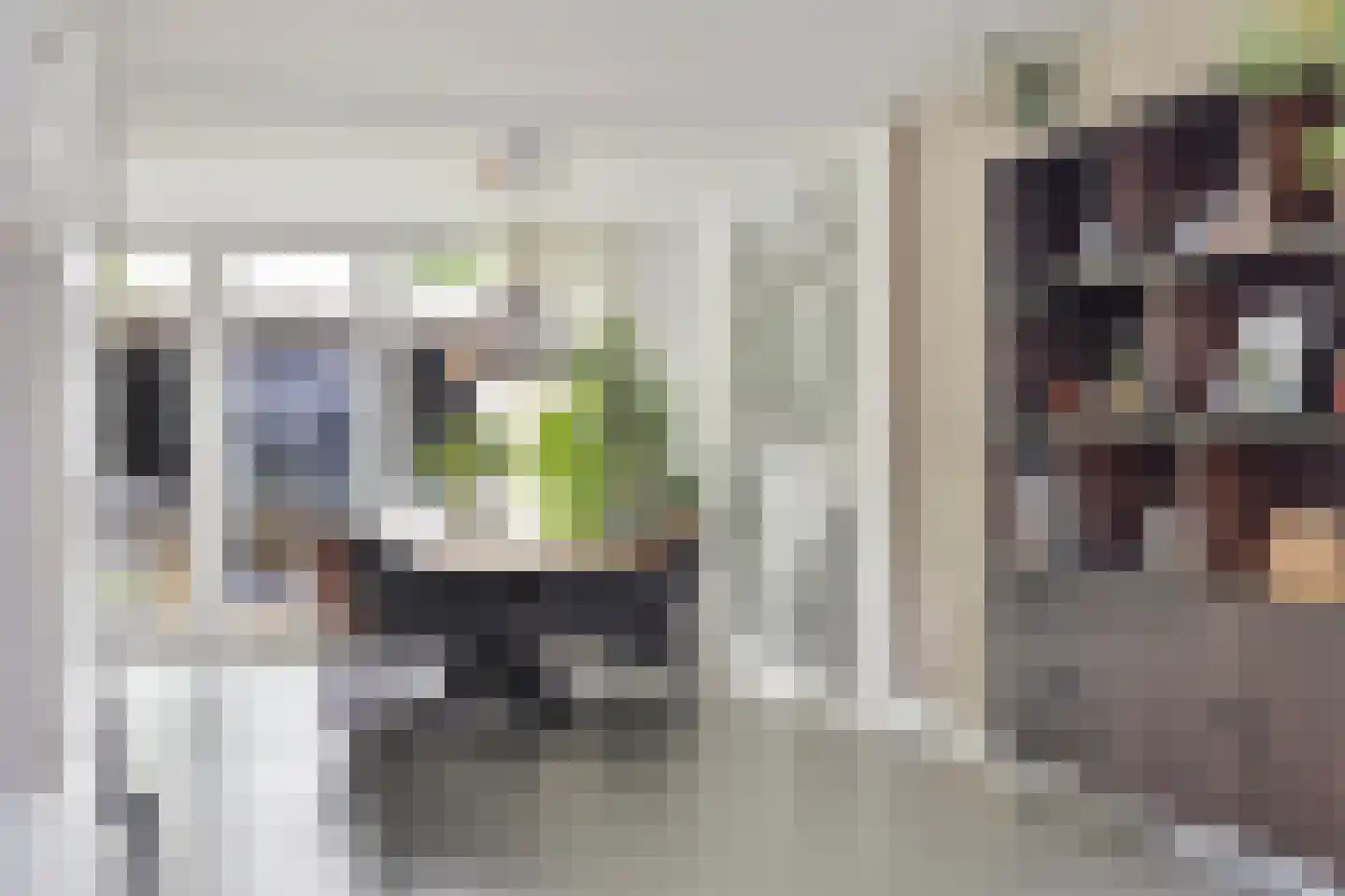 Hoevelakenstraat 11 Tilburg thumbnail 13