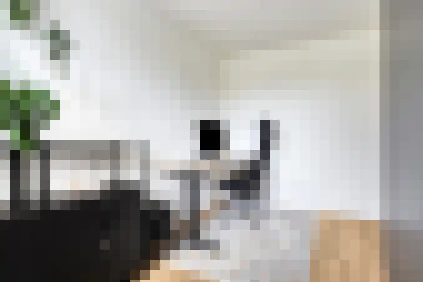 Hoevelakenstraat 11 Tilburg thumbnail 23