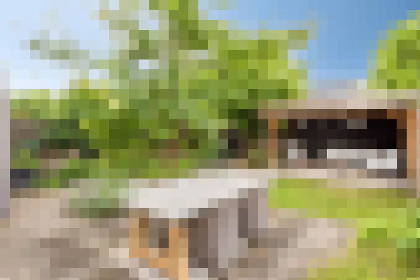 Hoevelakenstraat 11 Tilburg thumbnail 32