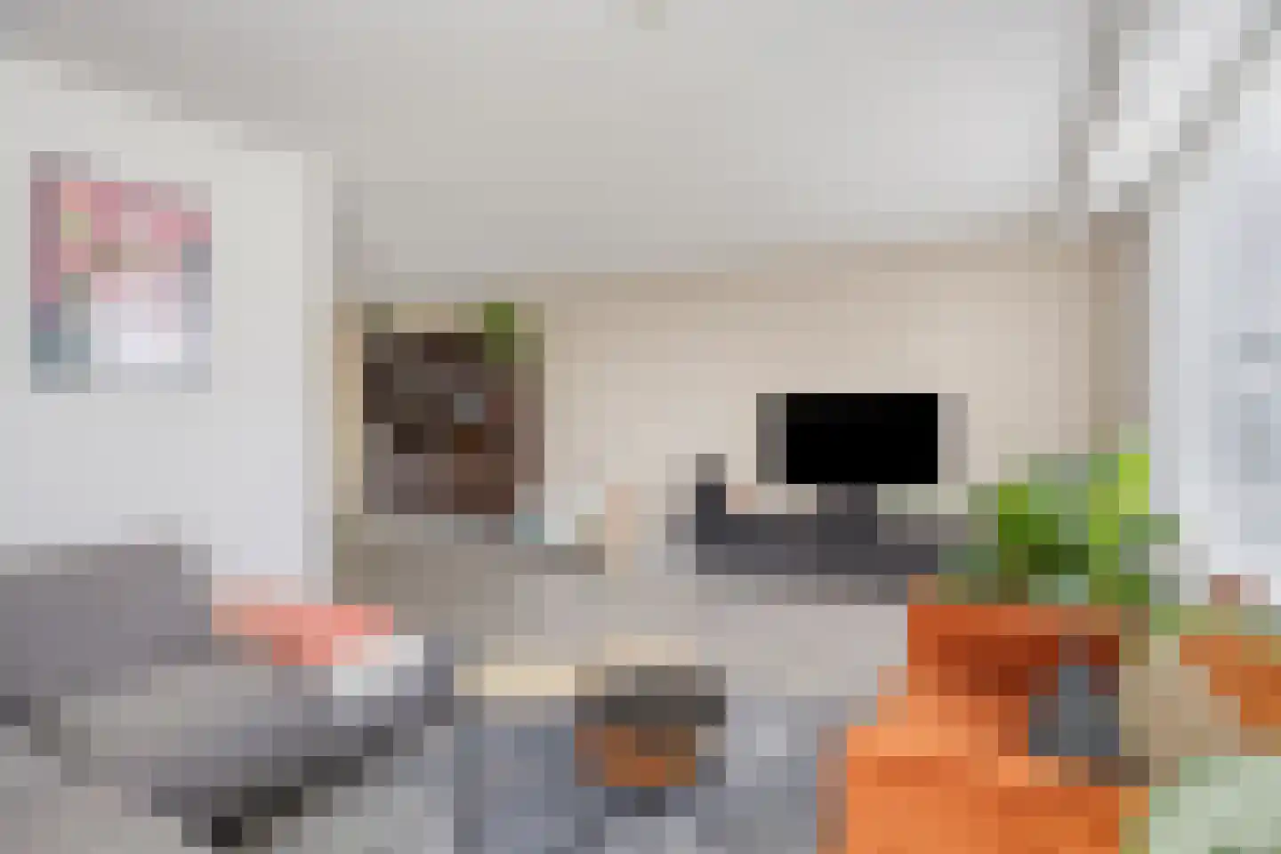 Hoevelakenstraat 11 Tilburg thumbnail 6