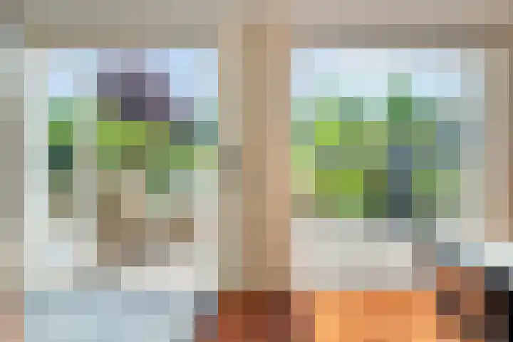 Hoevelakenstraat 16 Tilburg thumbnail 17