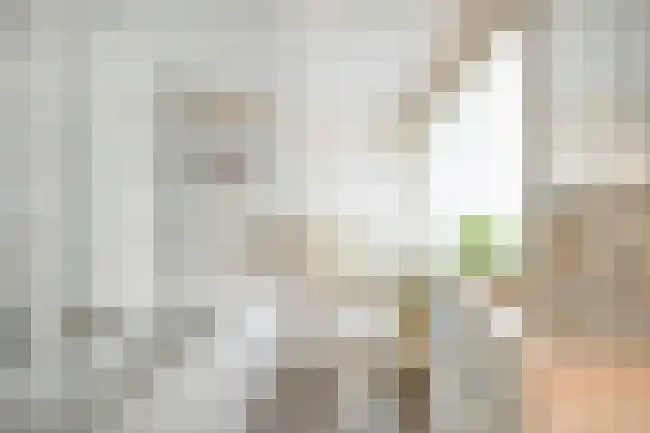 Hoevelakenstraat 16 Tilburg thumbnail 26