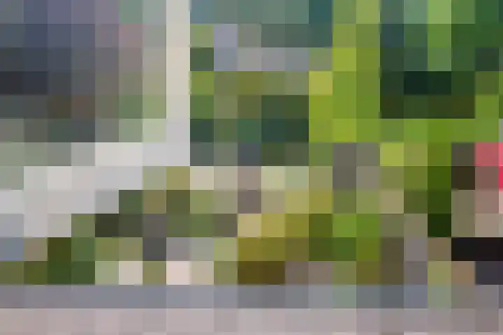Hoevelakenstraat 16 Tilburg thumbnail 29