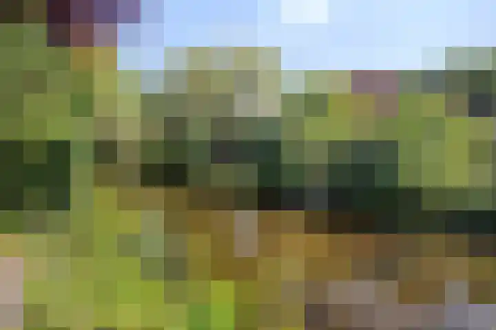 Hoevelakenstraat 16 Tilburg thumbnail 34