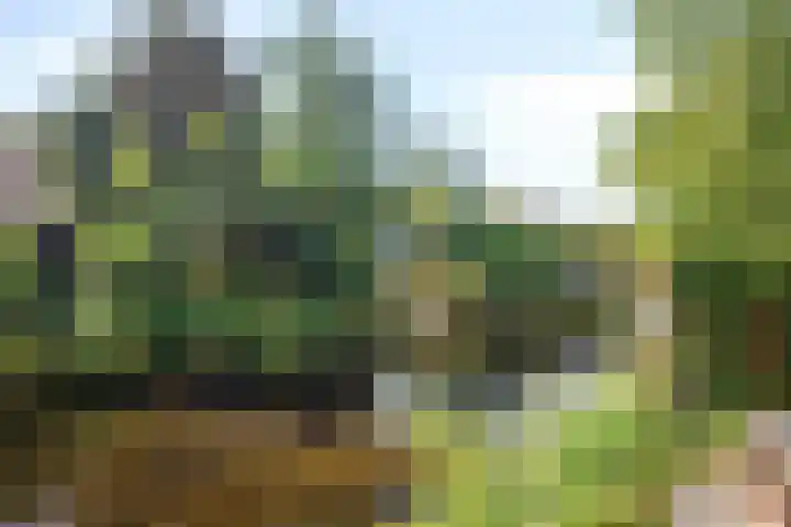 Hoevelakenstraat 16 Tilburg thumbnail 37